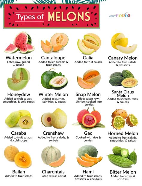 36 Types of Melons with Pictures